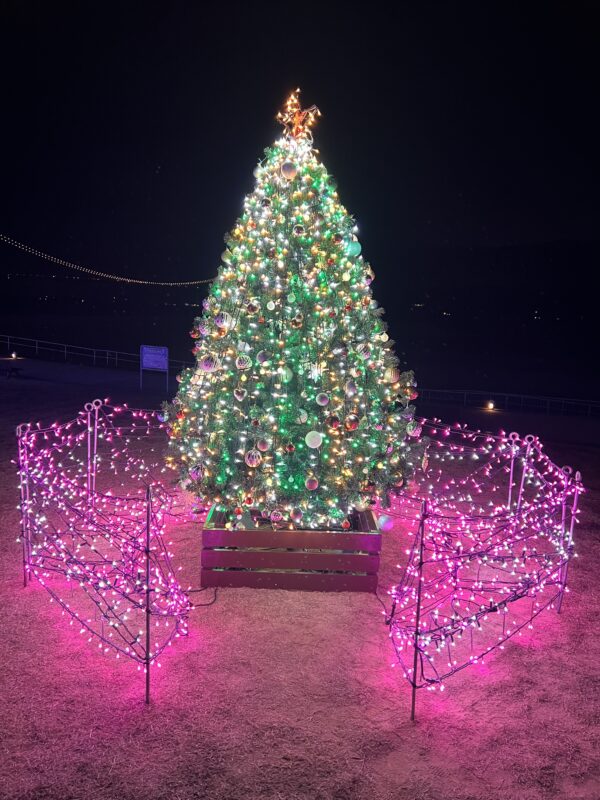 大蔵海岸ハートフルイルミネーション2025