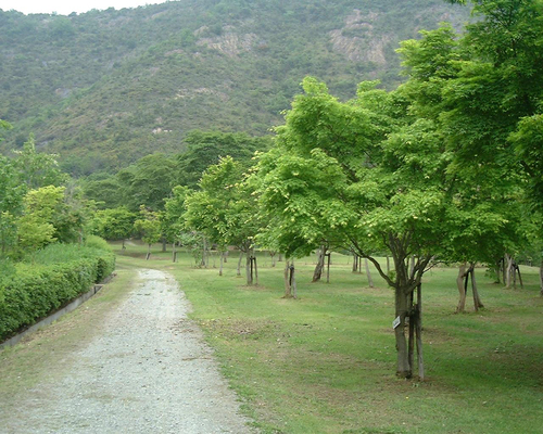 鹿島・扇平自然公園