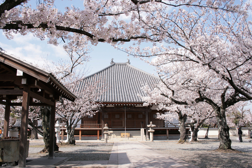 教信寺