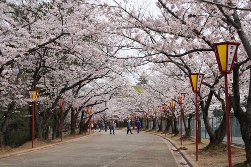 日岡山公園