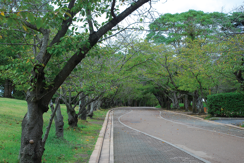 日岡山公園